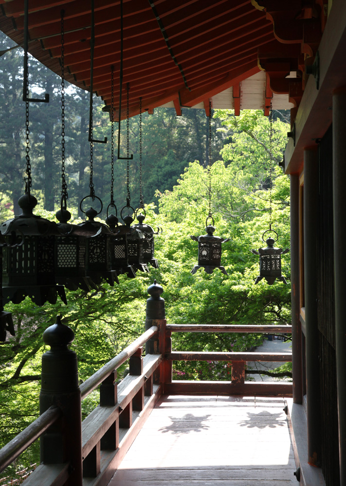 桜井市　談山神社　新緑　石楠花_c0108146_21372916.jpg