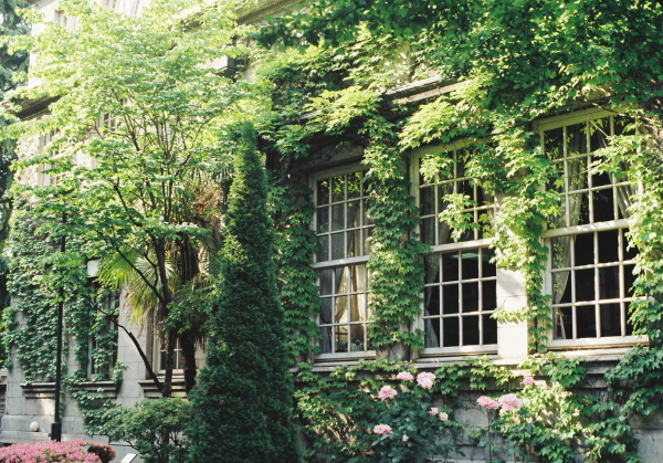 c0199146_23521742.jpg