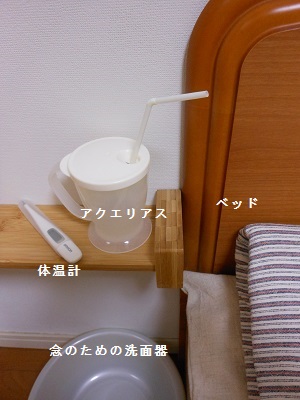 c0261346_1542547.jpg