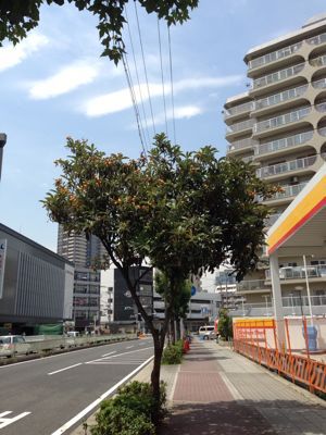 b0327247_15561645.jpg