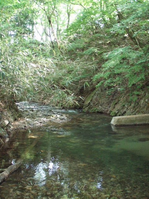 Fresh Water 2014.05.31 天竜川水系 _e0201348_622883.jpg