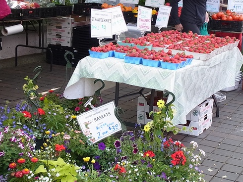 Quay Marketの辺りをお散歩＊自然の味：サーモンベリー_d0233349_1403766.jpg