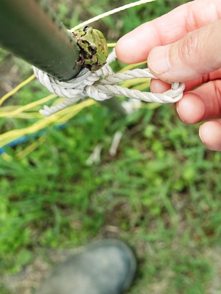 その橋渡るな、なので真ん中を・・・奥山の最低気温10.4℃_d0005250_18544615.jpg