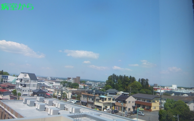 f0002750_20573787.jpg