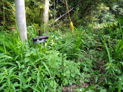 c0179351_8583995.jpg