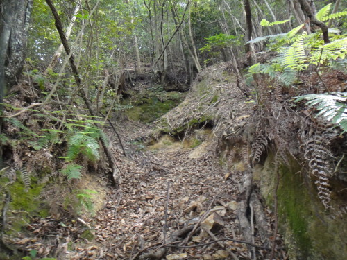 c0179351_8593965.jpg