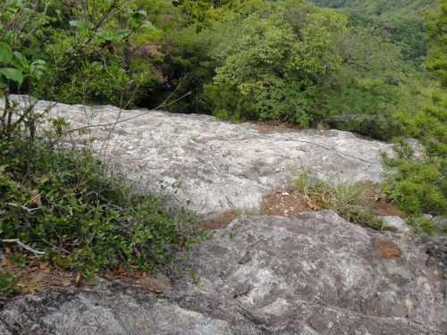 c0179351_903669.jpg