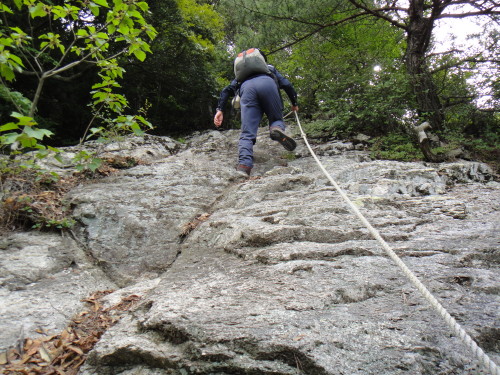 c0179351_91452.jpg