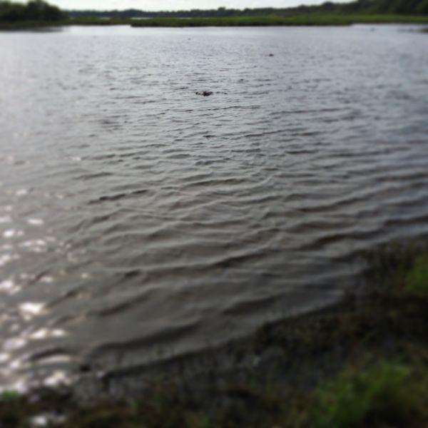 e0002951_2131191.jpg