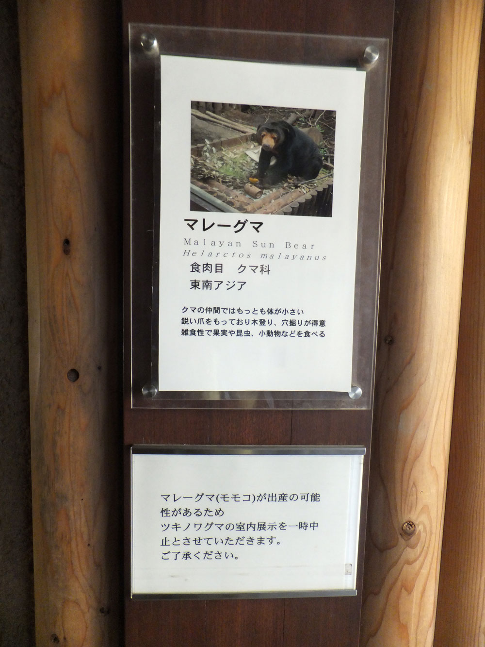 b0023856_74692.jpg