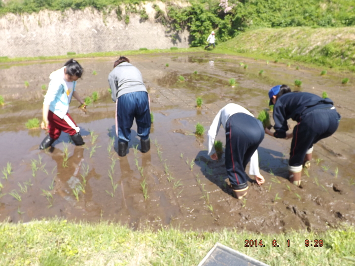 田植え Mou塾のm 田植え Mou塾のm