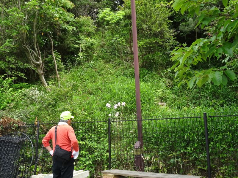 c0108460_22503927.jpg