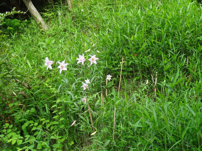 c0108460_22503969.jpg