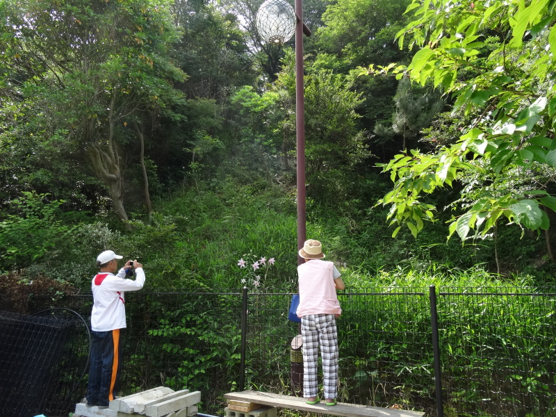 c0108460_22504023.jpg