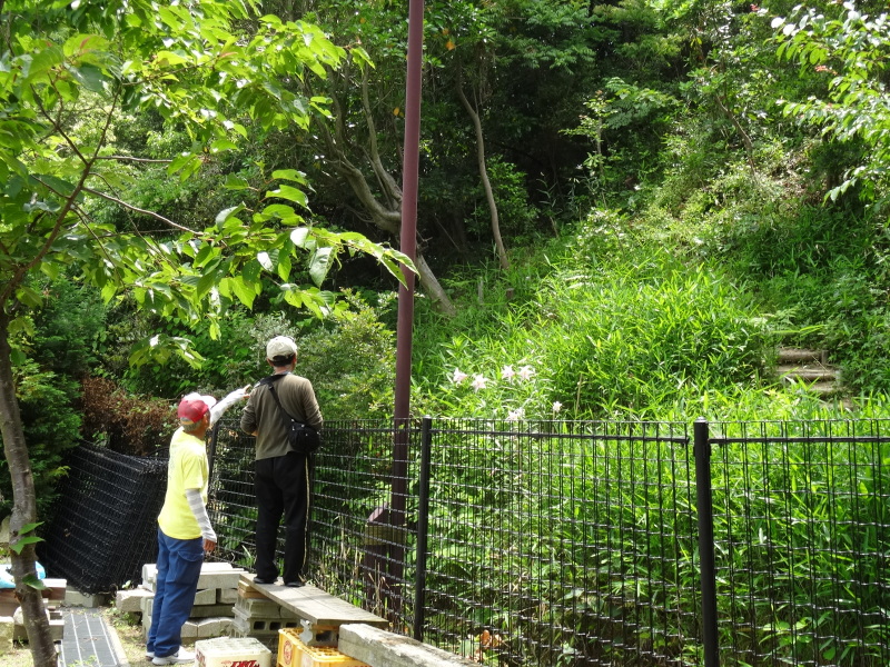 c0108460_22504033.jpg