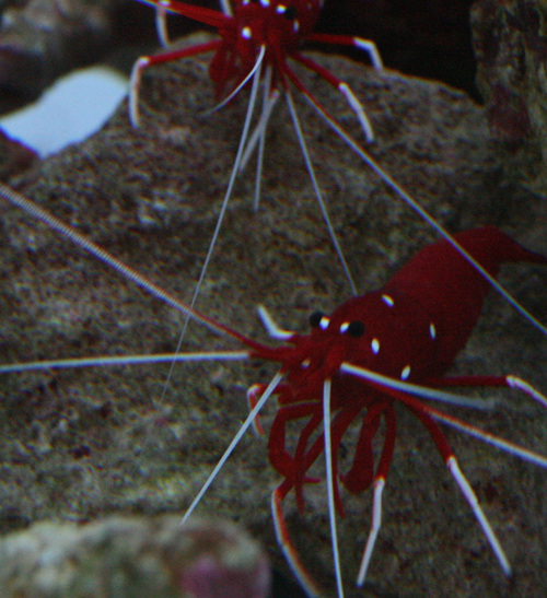 a0162261_19415672.jpg