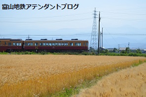 地鉄沿線を撮ってみました!黄金の景色編_a0243562_15035397.jpg