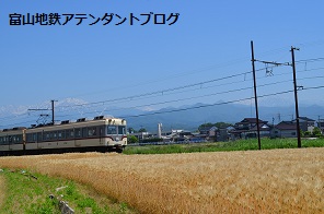 地鉄沿線を撮ってみました!黄金の景色編_a0243562_15071546.jpg