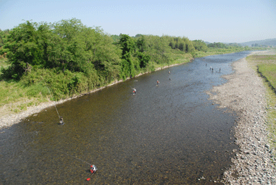 b0174462_18365477.gif
