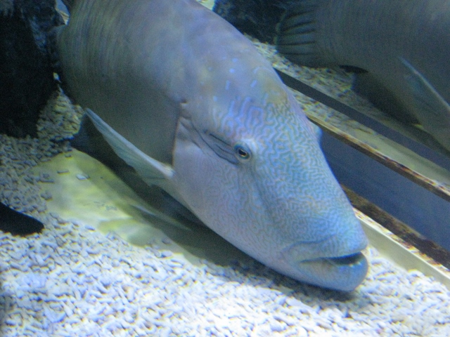 f0345263_20022406.jpg