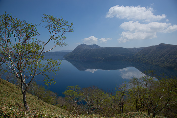 f0054366_20591770.jpg