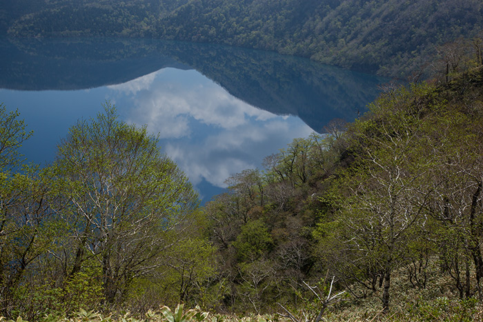 f0054366_21103230.jpg