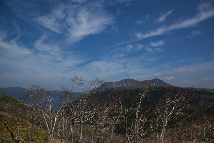f0054366_21114774.jpg