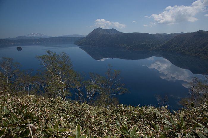 f0054366_21302951.jpg