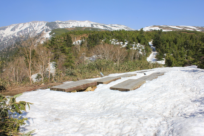 5月31日　太郎平小屋_f0223068_836428.jpg