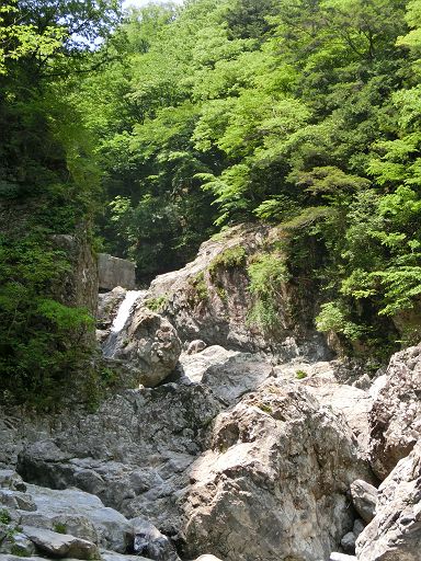 d0170871_15583138.jpg