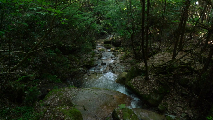 c0212083_19172246.jpg