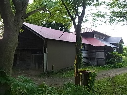 e0155085_1914221.jpg