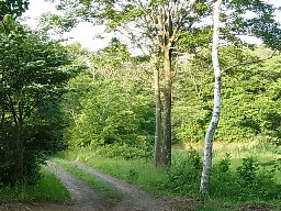 e0155085_19143227.jpg