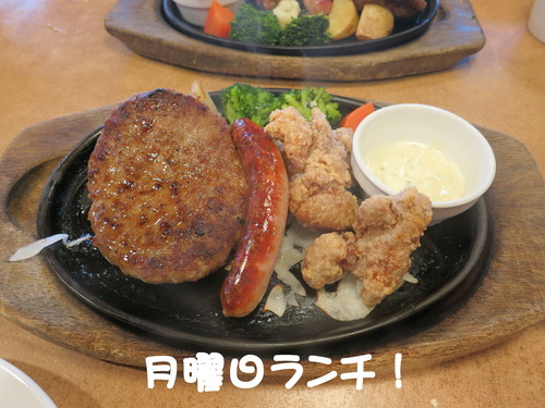 安行で一番忙しい植木屋！（ たぶん ）_b0200291_1946095.jpg