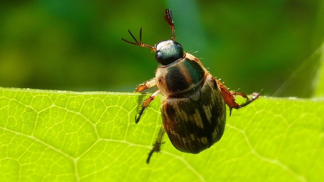a0152692_18121029.jpg