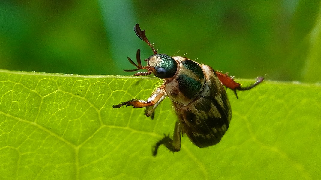 a0152692_1812245.jpg