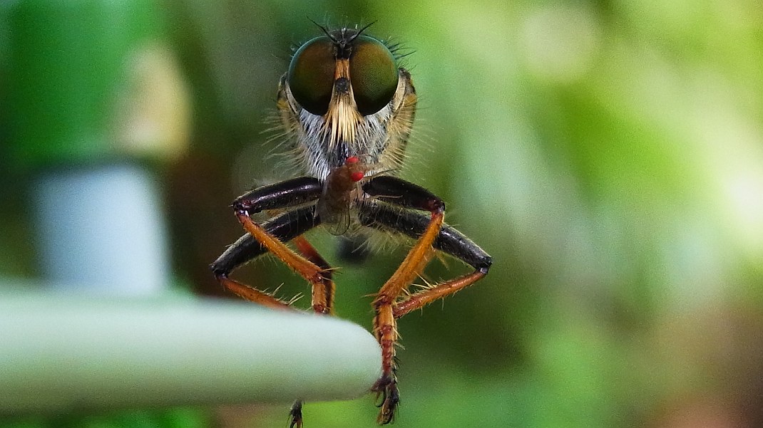 a0152692_18342865.jpg