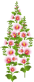 c0078592_1940094.gif