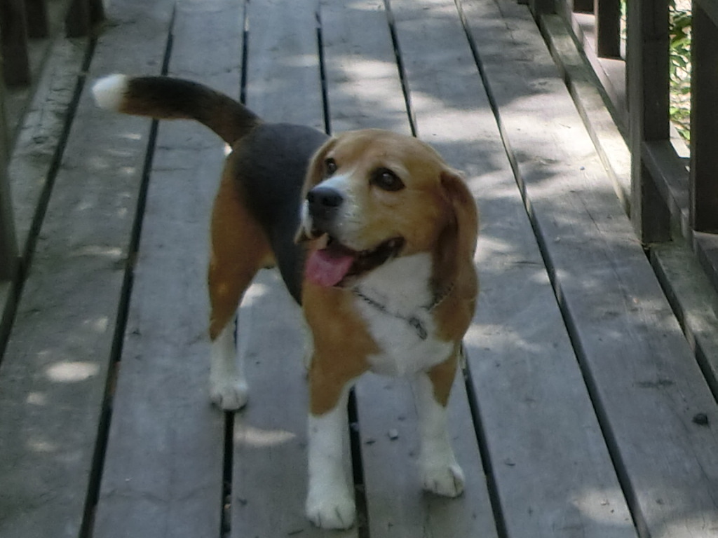 a0319693_944880.jpg