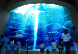 ◇東京スカイツリータウン◇_f0322193_9362151.jpg