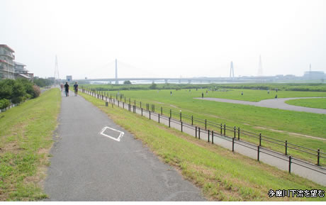 ◇◆◇多摩川大橋緑地◆◇◆_f0322193_9363715.jpg