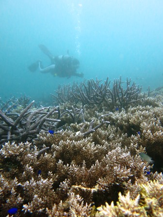 a0226396_18071361.jpg