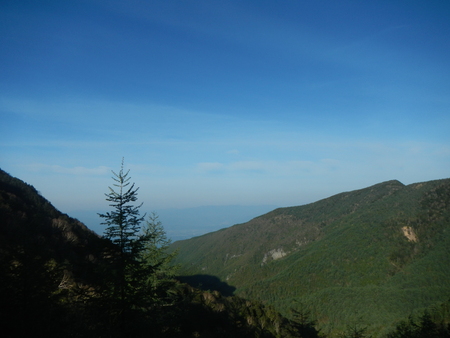 e0120896_75045.jpg