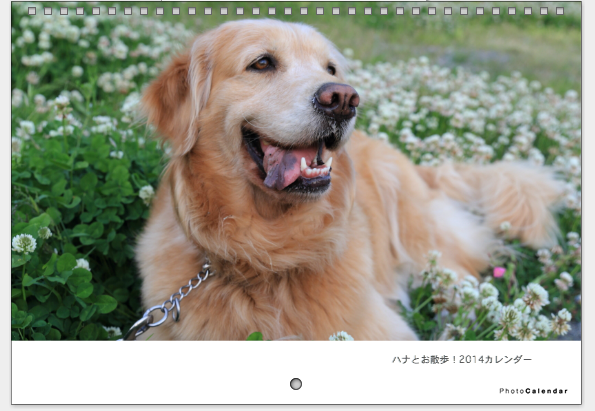 b0275998_9175073.png