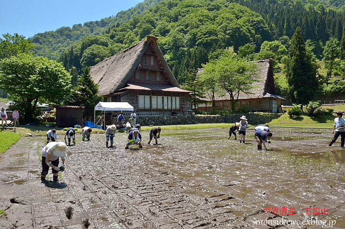 グランフォンド富山2014　＆　世界遺産・五箇山　_a0258099_2249686.jpg