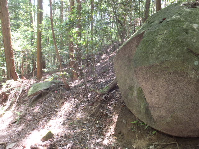 a0271502_1346458.jpg