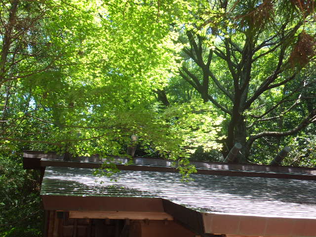 a0271502_1411285.jpg