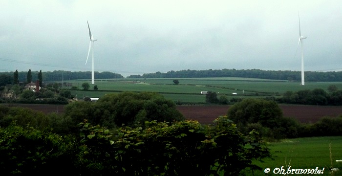 c0172202_3521451.jpg