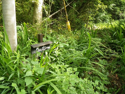 f0187402_20552513.jpg