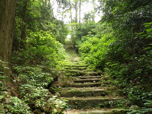 f0187402_20585674.jpg